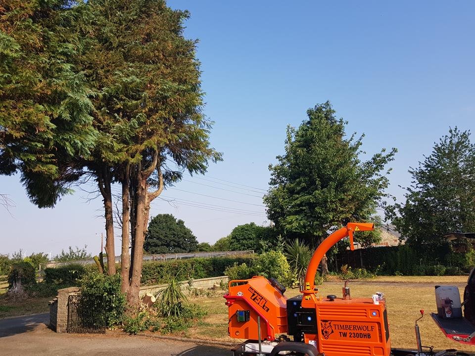 Stump Grinding Lincoln