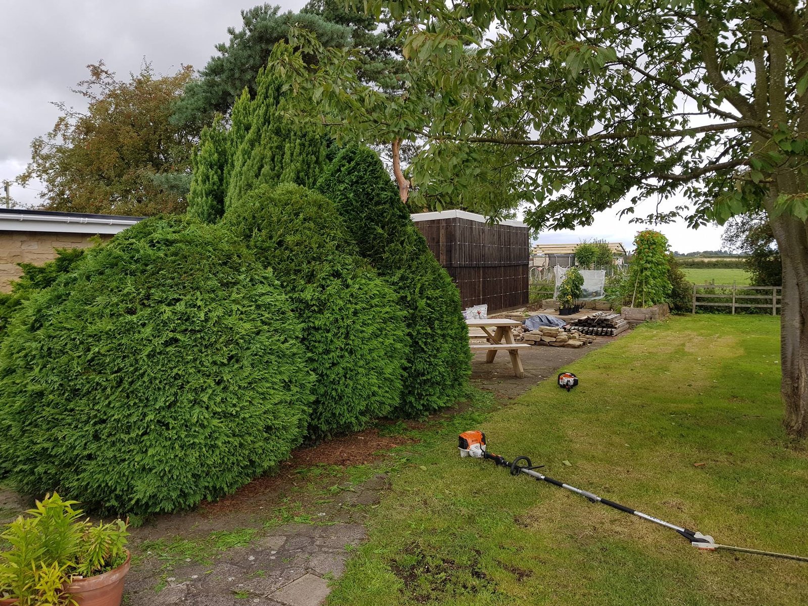 Tree Surgeons Lincoln