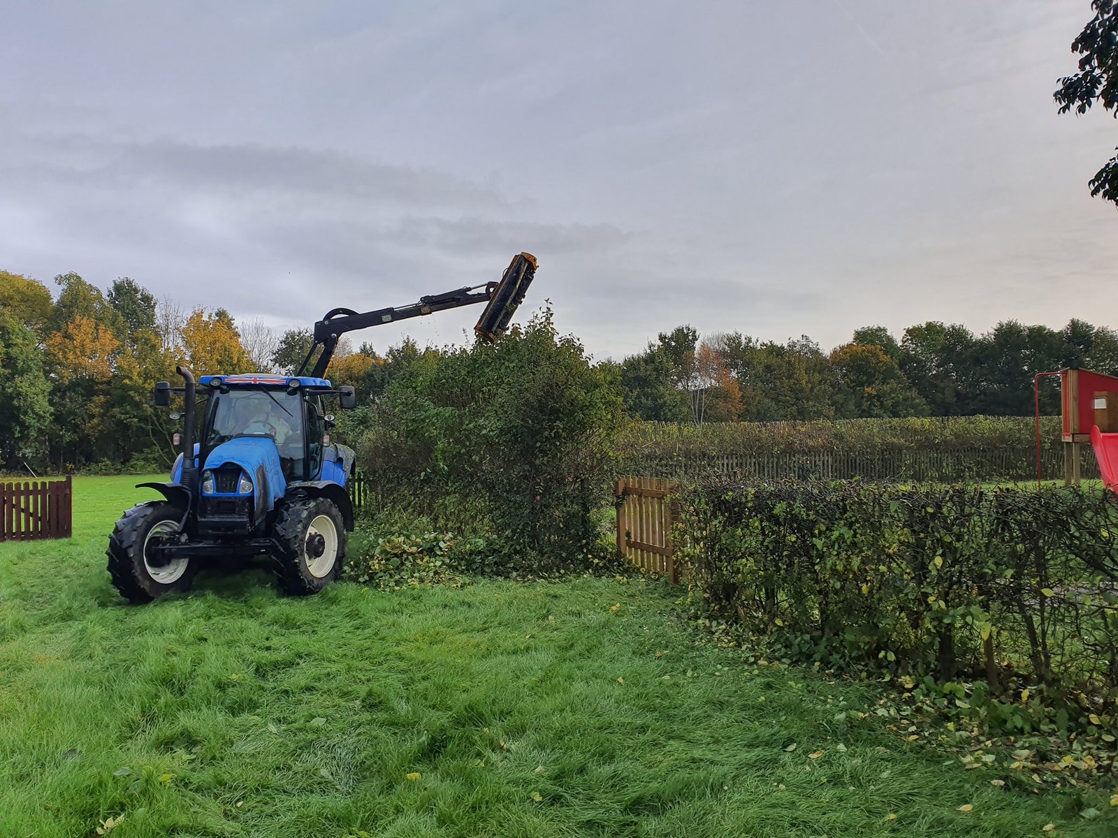 Tree services Lincoln